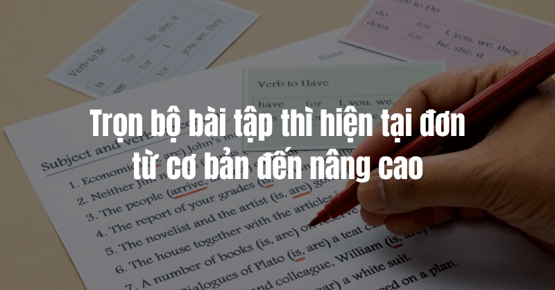 Học sinh đang chăm chú làm bài tập ngữ pháp tiếng Anh về thì hiện tại đơn để củng cố kiến thức